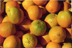 photo of oranges