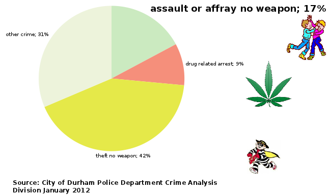 graph of unarmed theft = 42%, other = 31%, unarmed assault = 17%, drug = 9%