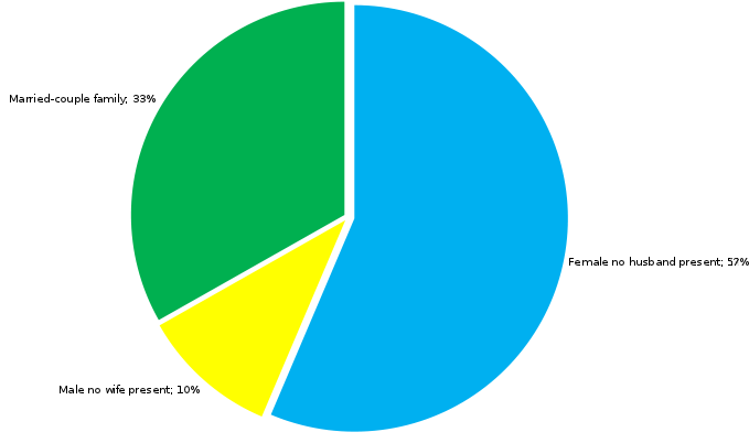 graph of 57% single parent mother , 10% single parent father, 33% married couple