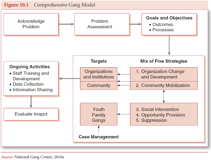 flowchart from problem acknowledgment to management strategy