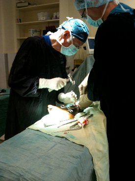 doctors performing surgery on a patient