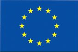 image of European Union flag