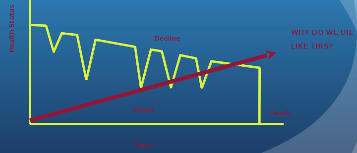 graph of increased death rate as an individual suffers a series of ehealth crises