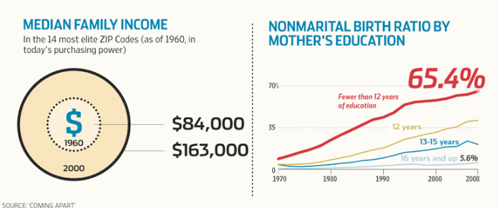 graphs of median family income in high-income zip codes, in 1960 vs 2000, and nonmarital birth ratios within groups of mother's educational experience across 1970 thru 20008