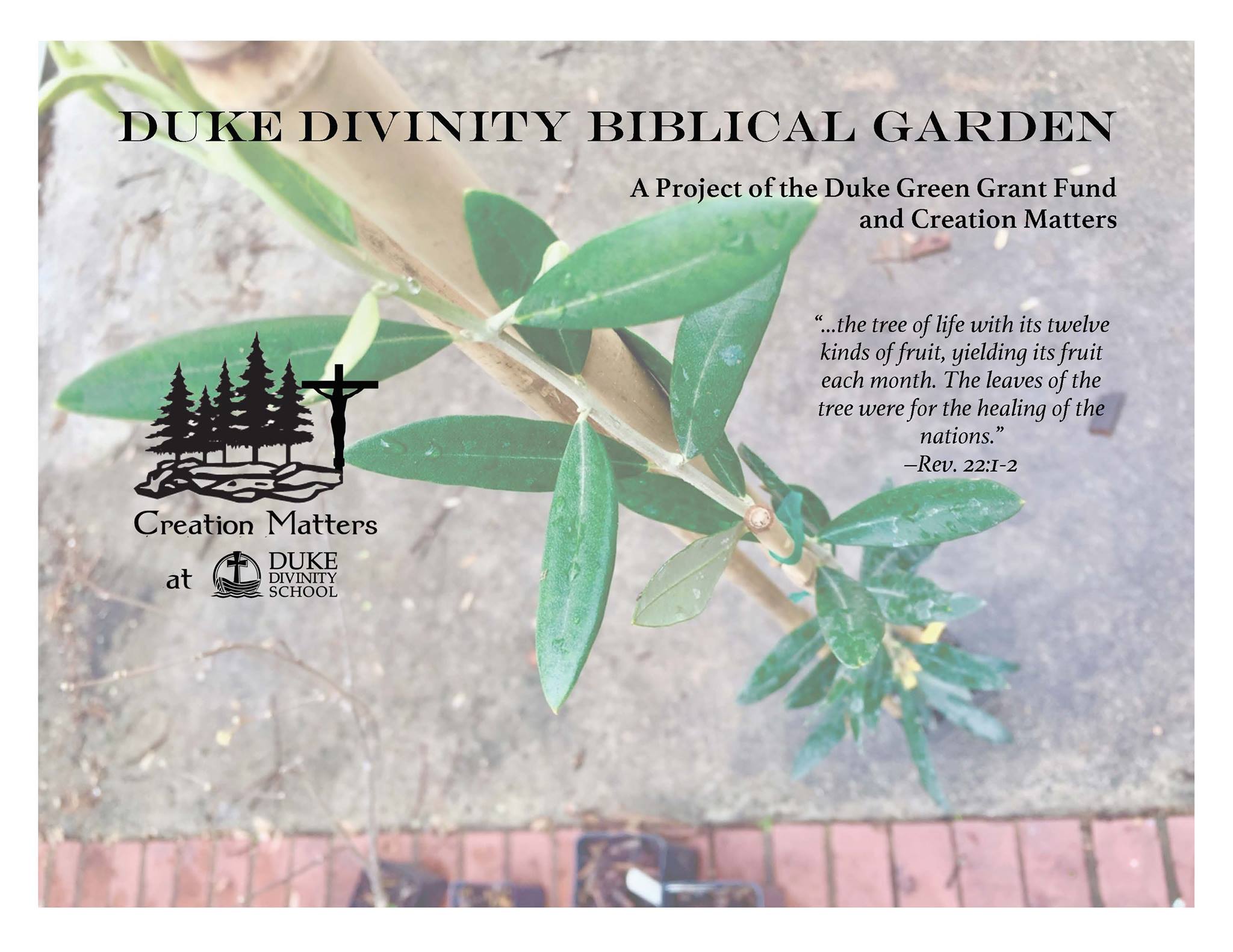 sign for Bibilcal Garden at Duke Divinity School