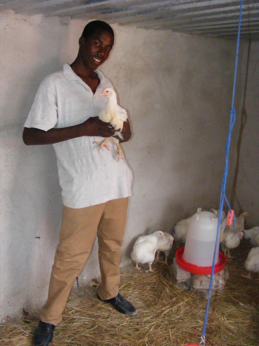photo of teenager caring for his chickens