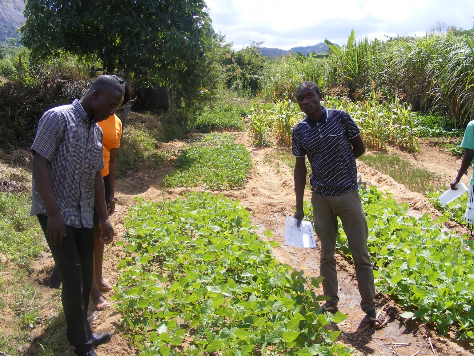 photo of people in garden