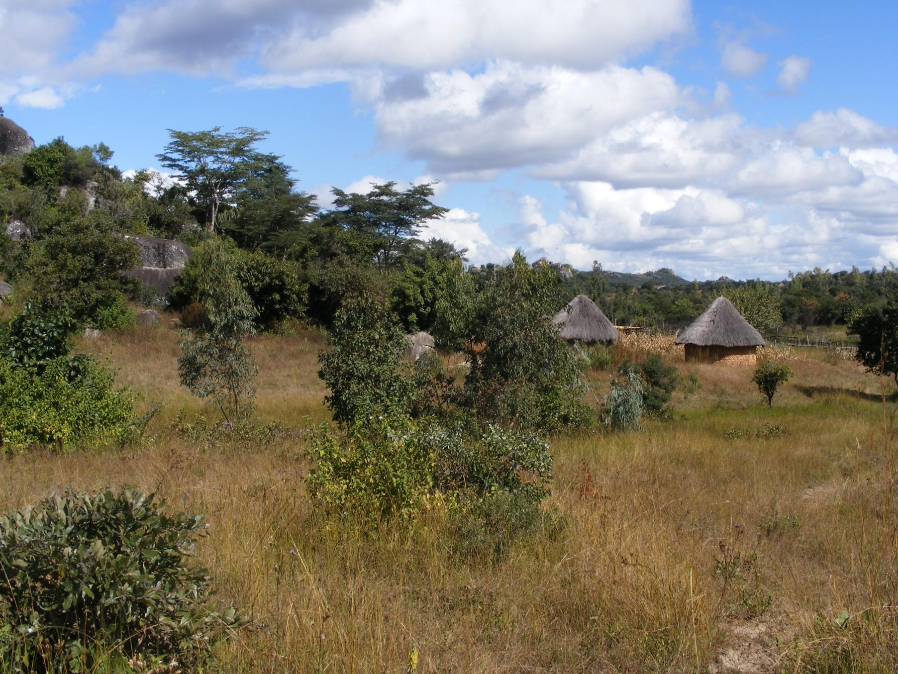 photo of some round huts with thatched roofs