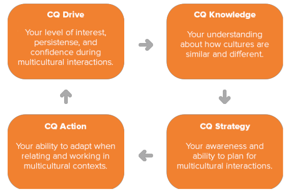 graphic depicting drive to knowledge to strategy to action to drive ...