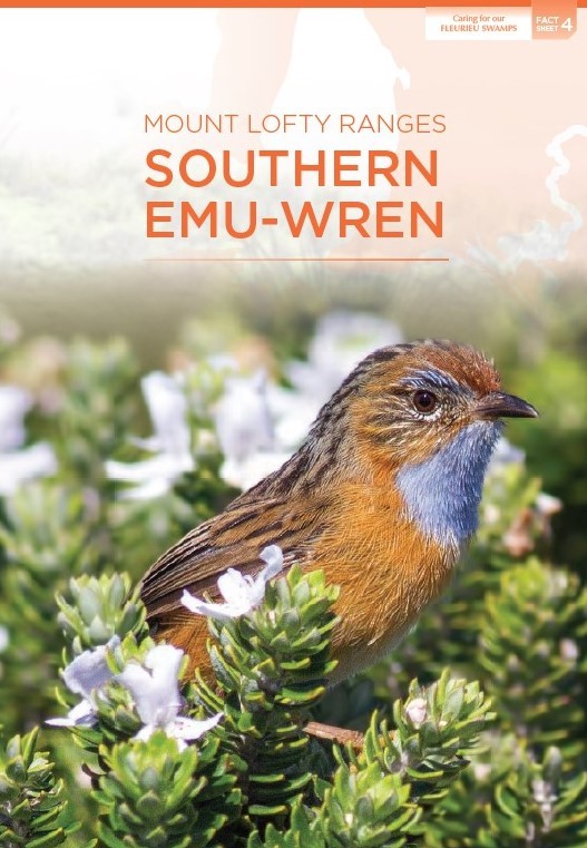 emu wren fact sheet cover