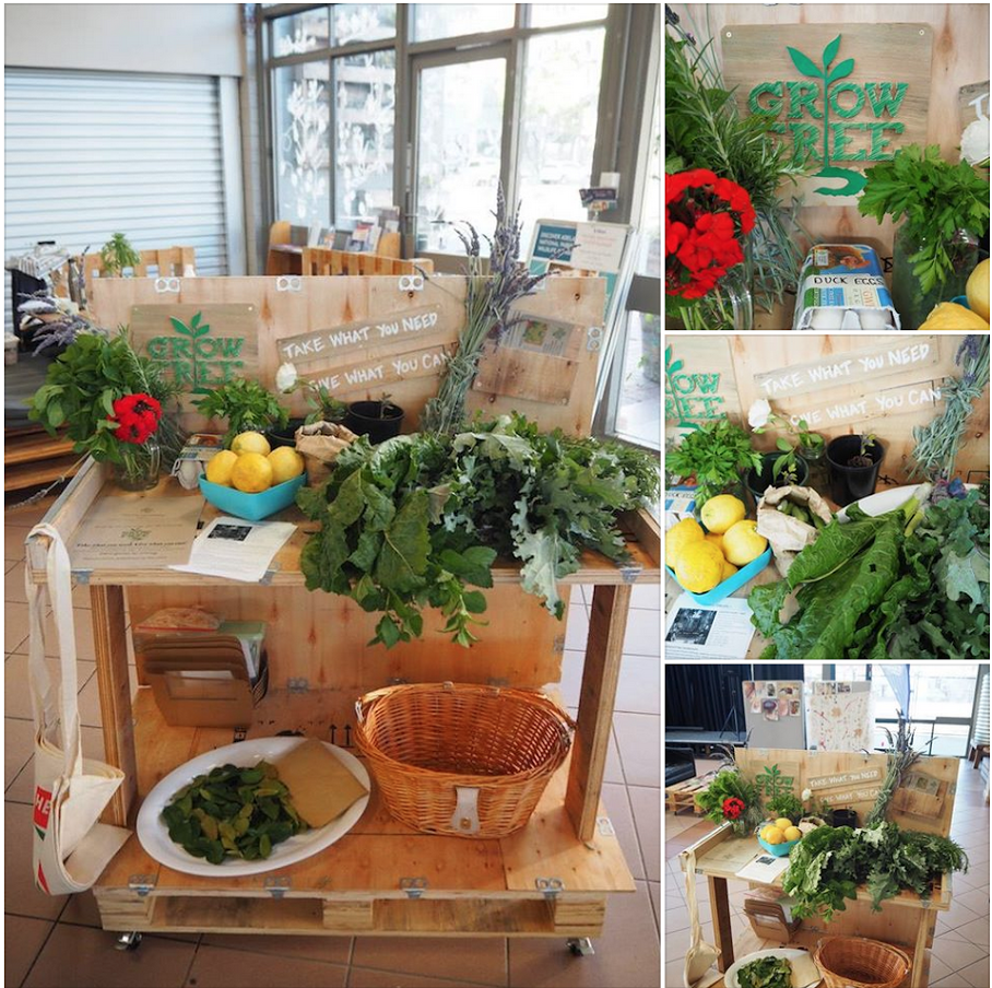 Grow Free Hits The Joinery!