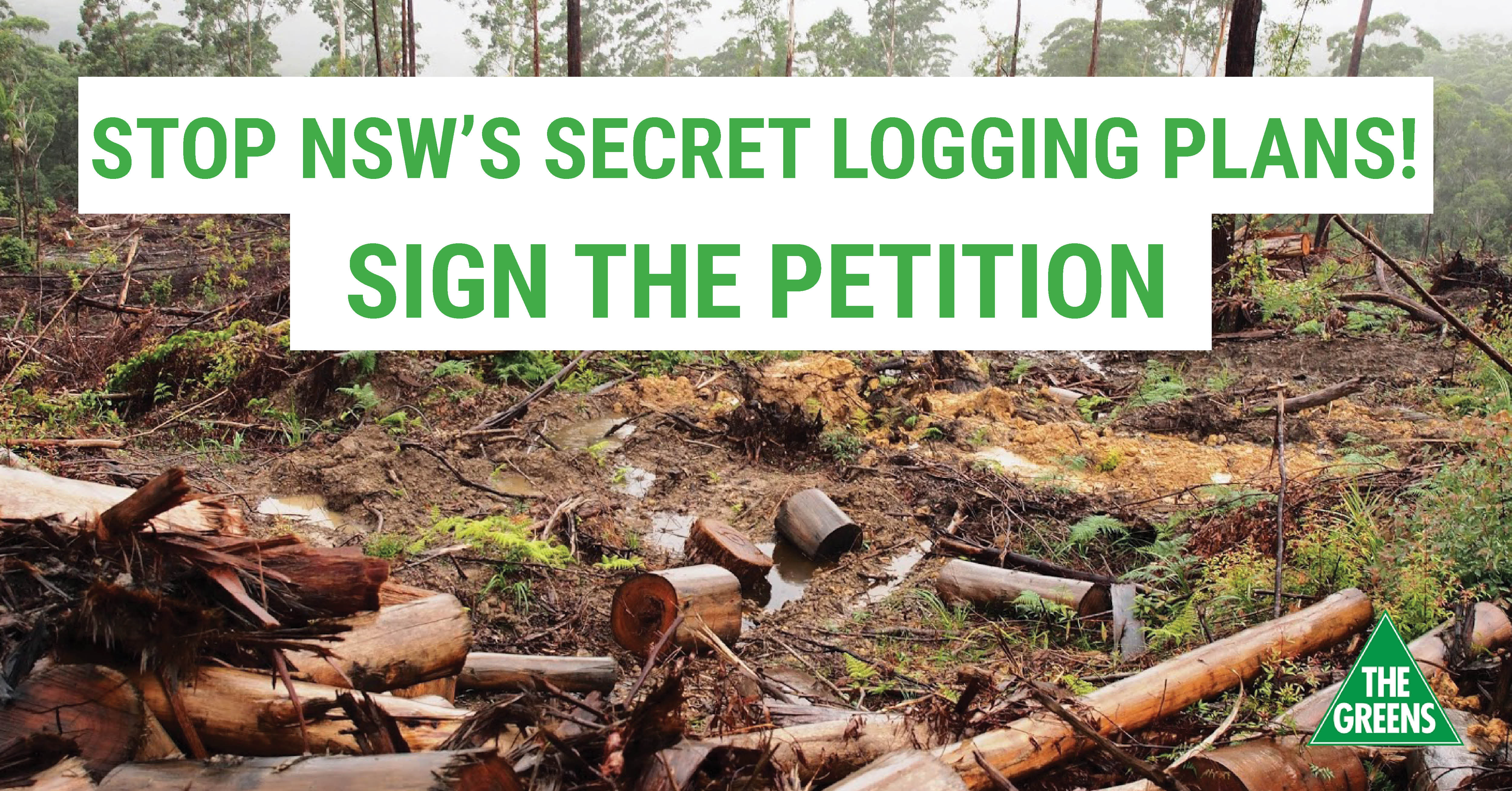 Stop NSW's Secret Logging Plans! - Dawn Walker MP