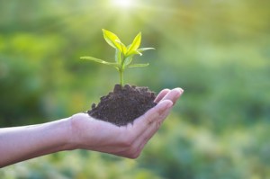 deedra-environmental-protections.jpg