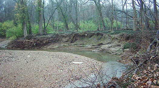 Erosion along creek bank