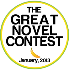 novel_contest_small2