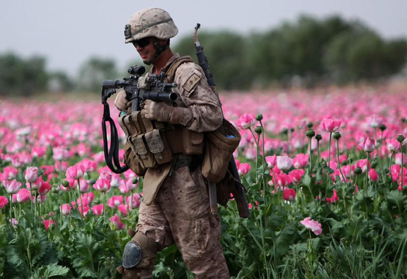 Time to Call a Truce on Drug War