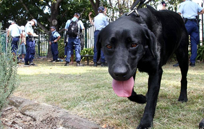 Police dogs harass and arrest music festival patrons