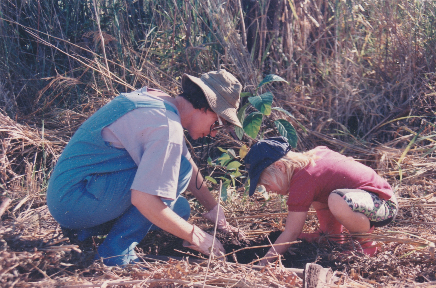 Dumbleton_Tree_planting_1994.jpg