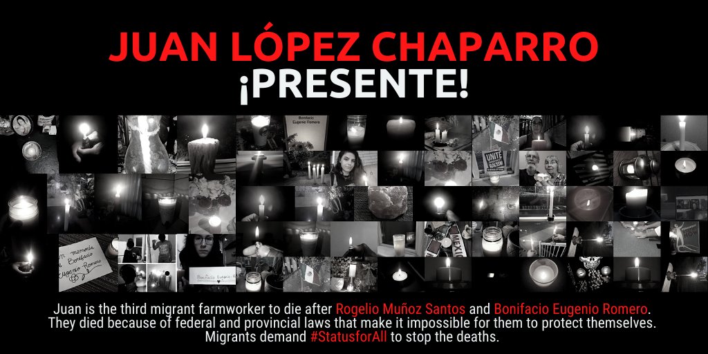 Status for All banner