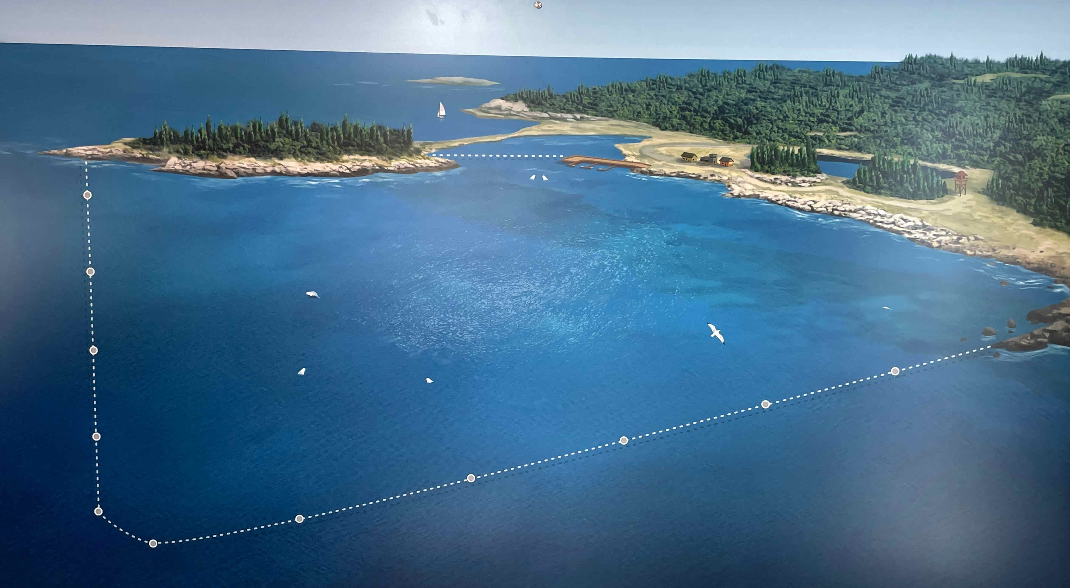 Whale Sanctuary plan