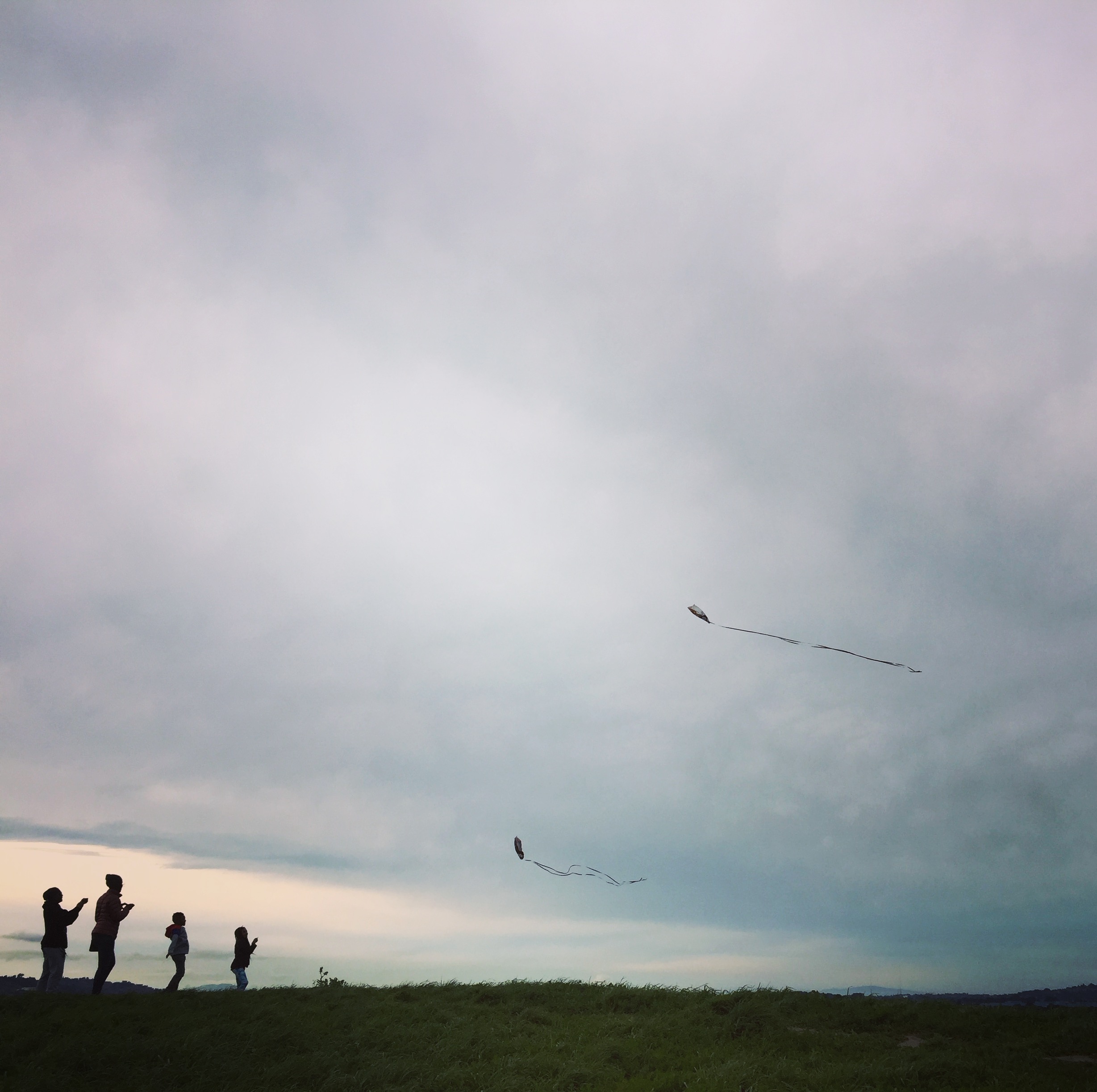 family_kites.jpeg