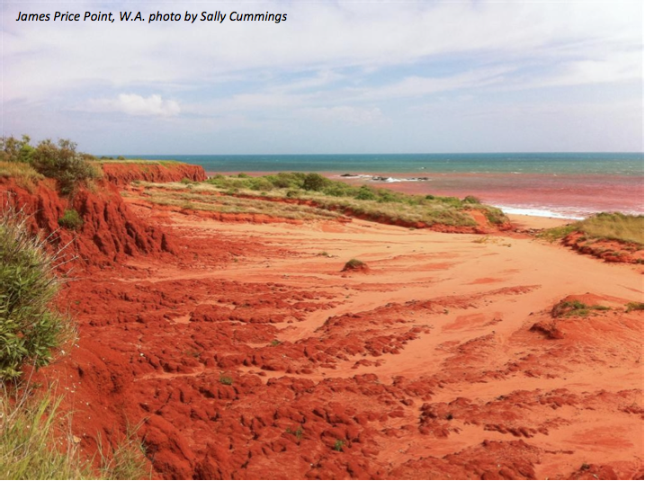 james Price Point