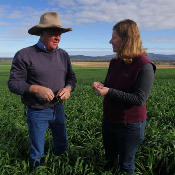 Giving advice in the field