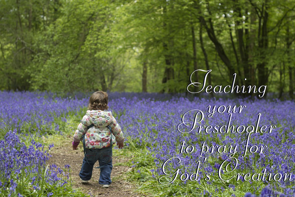 Blue-Nature-Toddler-Spring-Young-Child-Bluebells-header.jpg