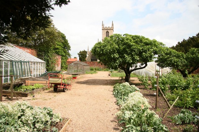 Plant a vegetable garden at your church