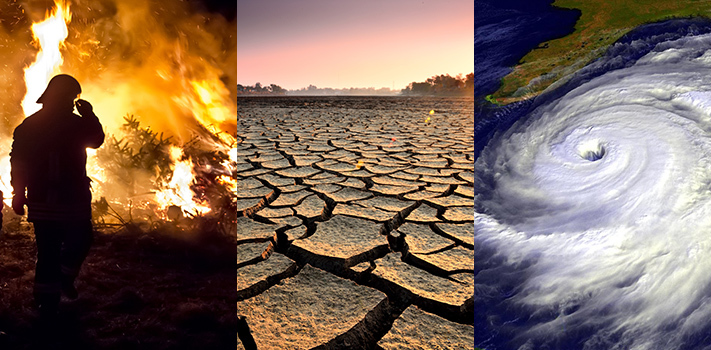 Declare A Global Warming And Climate Change Emergency Job One For Humanity