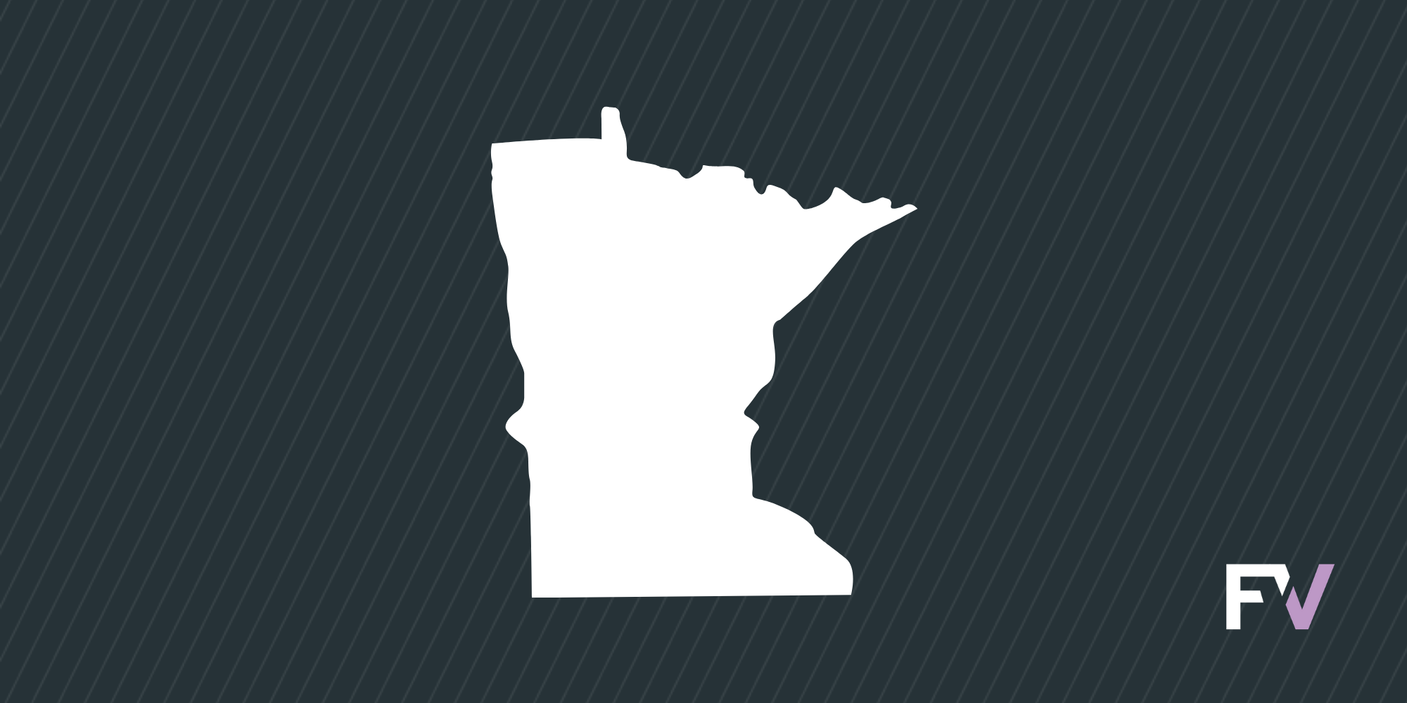 Minnesota congressional candidate recruited a third party spoiler to split his opponent’s vote