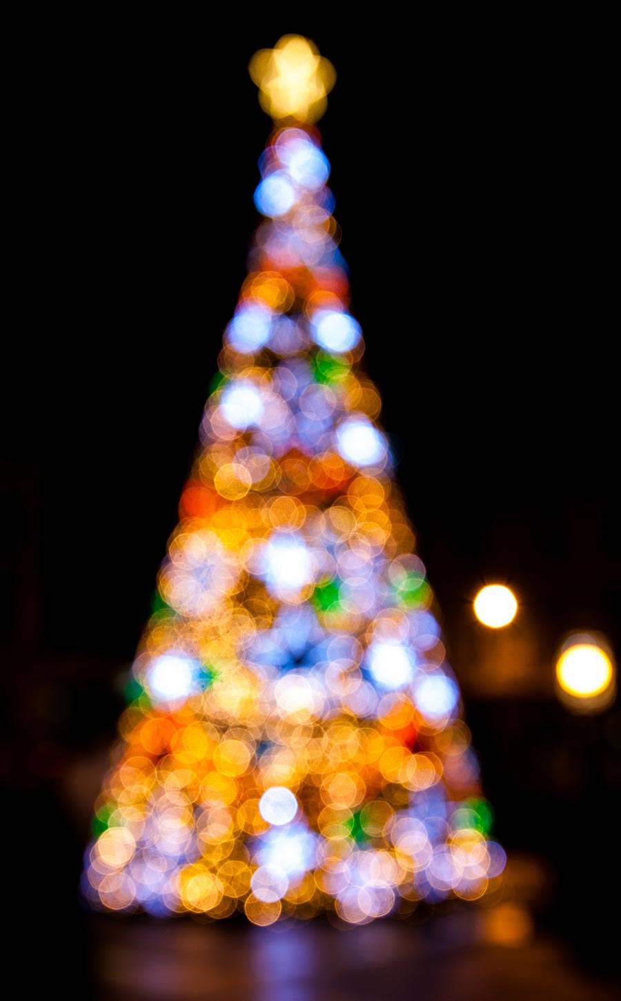 lights and of course giant christmas trees this holiday is not a favorite for everyone however this year one man proved to be a real grinch when - Grinch Stole Christmas Lights lights and of course giant christmas trees this holiday is not a favorite for everyone however this year one man proved to be a real grinch when - Grinch Stole Christmas Lights