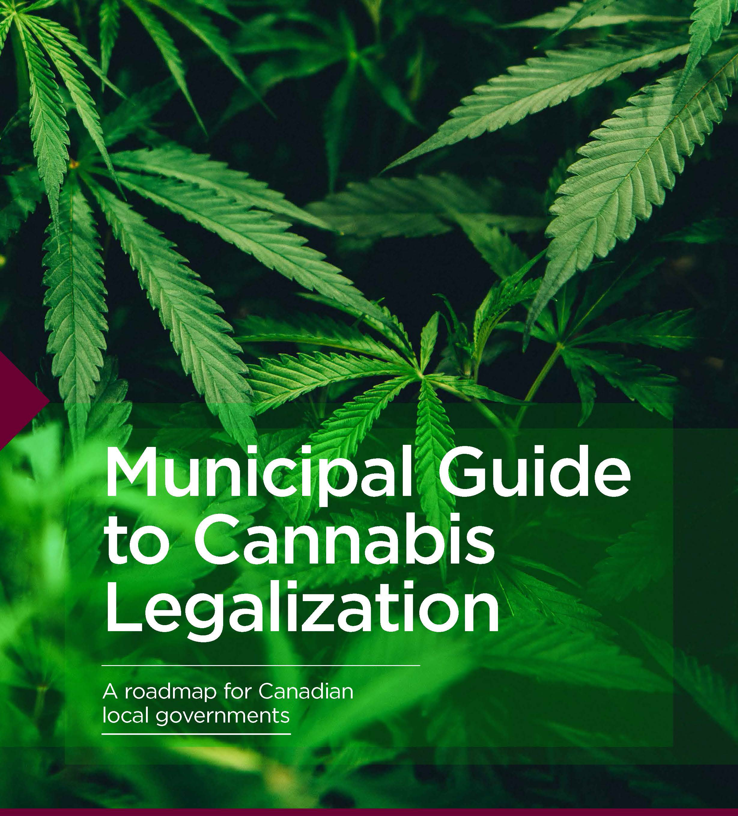 Cannabis-Guide-EN.jpg