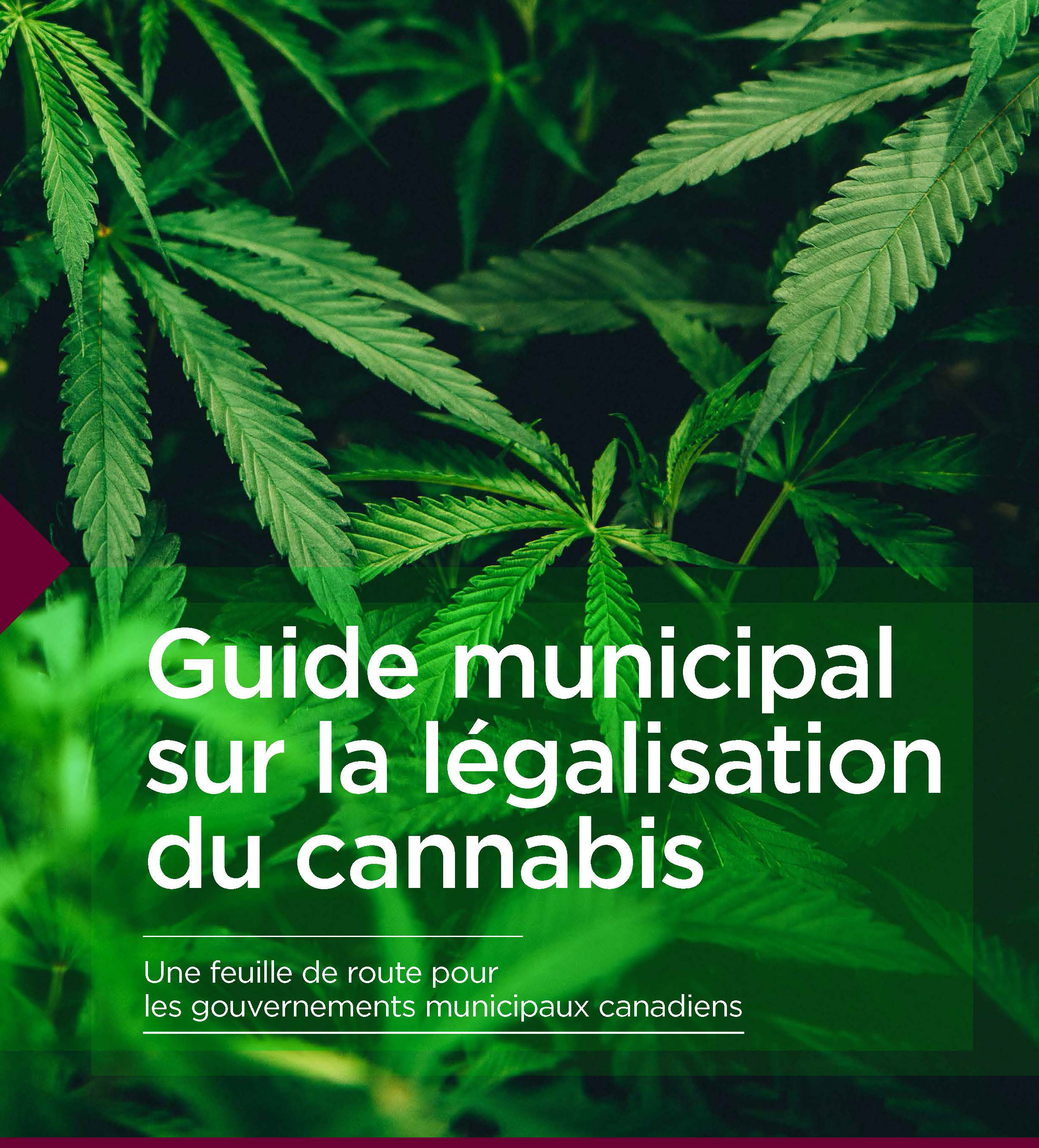 Cannabis-Guide-FR.jpg