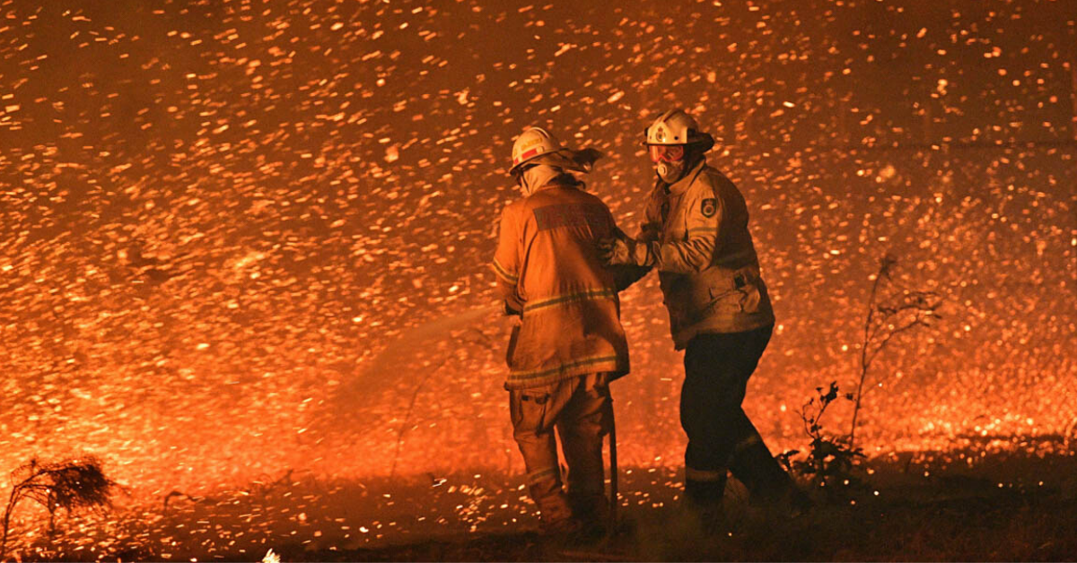 Bushfire Fact Check - Friends of the Earth Australia