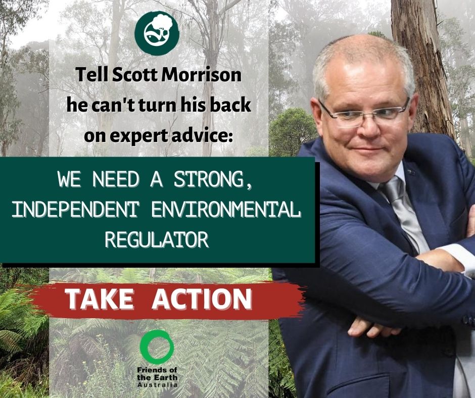 EPBC review - Friends of the Earth Australia