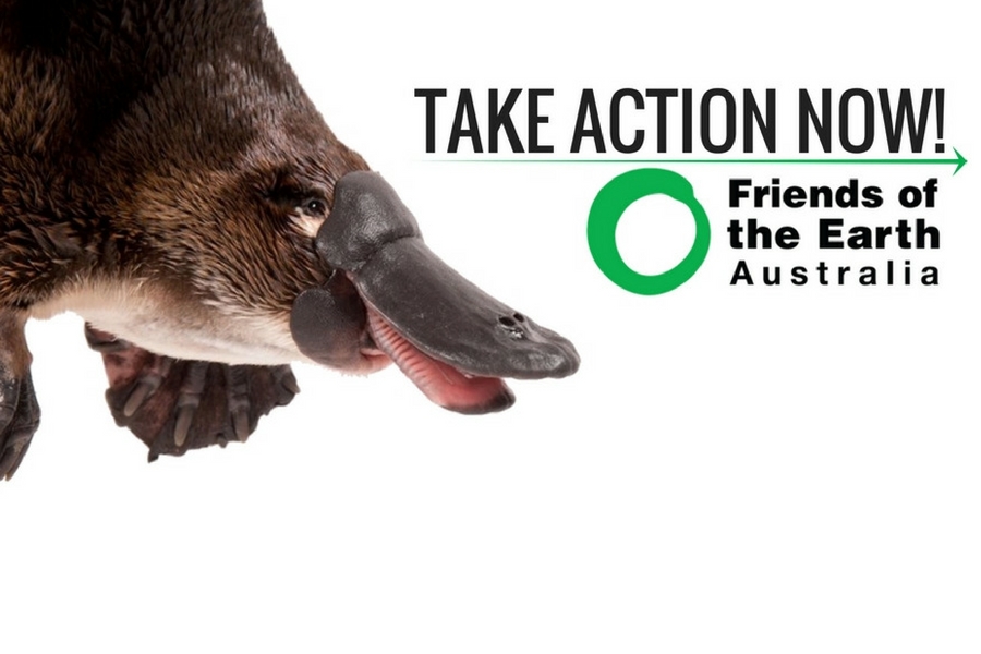 Platypus_Pesticide_ANZECC_Regulation.jpg