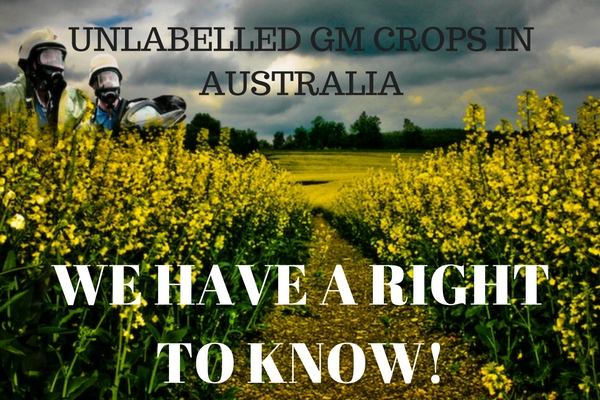 UNLABELLED_GM_CROPS_TRYING_TO_BE_SNUCK_INTO_AUSTRALIA.jpg