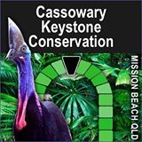 Cass_Key_Con.jpg