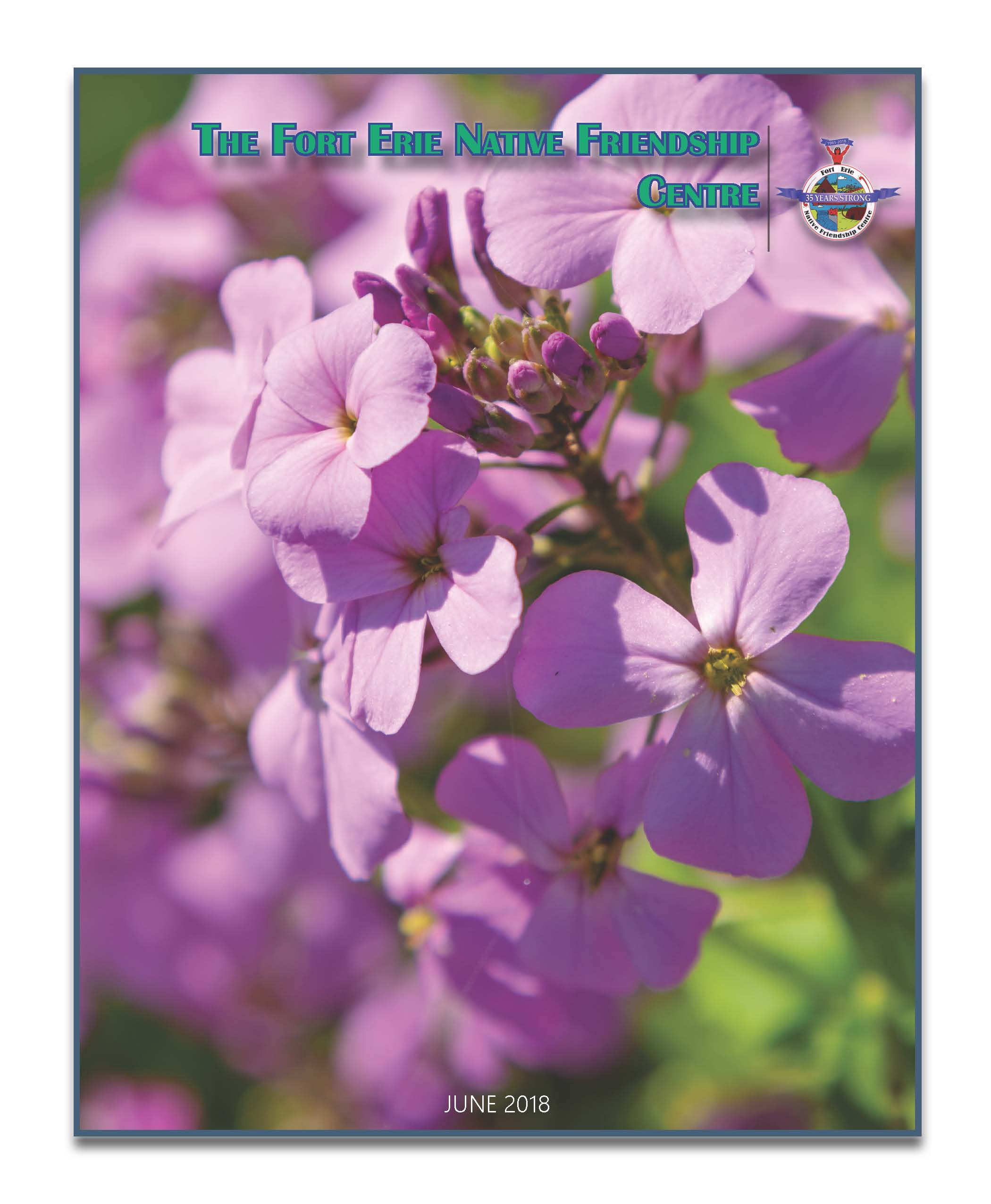 cover_4.jpg