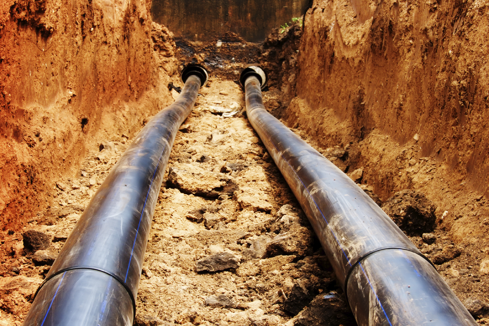 RELEASE: FCP Calls on Trudeau, Notley, Kenney to Explain Pipeline Bailout Blunder