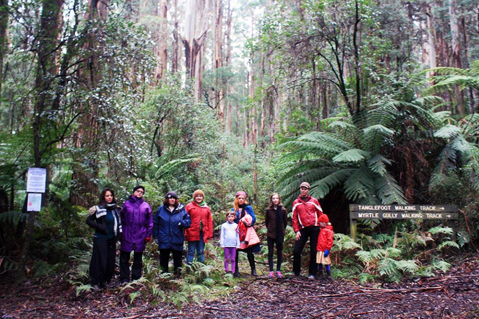 Toolangi_walking_tk_June_2017.jpg