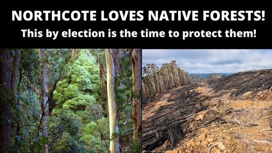 Northocte_letterbox_banner.jpg Northocte_letterbox_banner.jpg