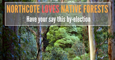 Northcote_loves_native_forests(1).jpg