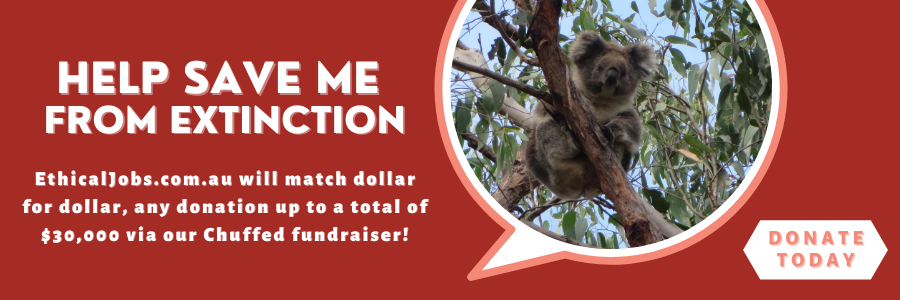 Donate now Donate now