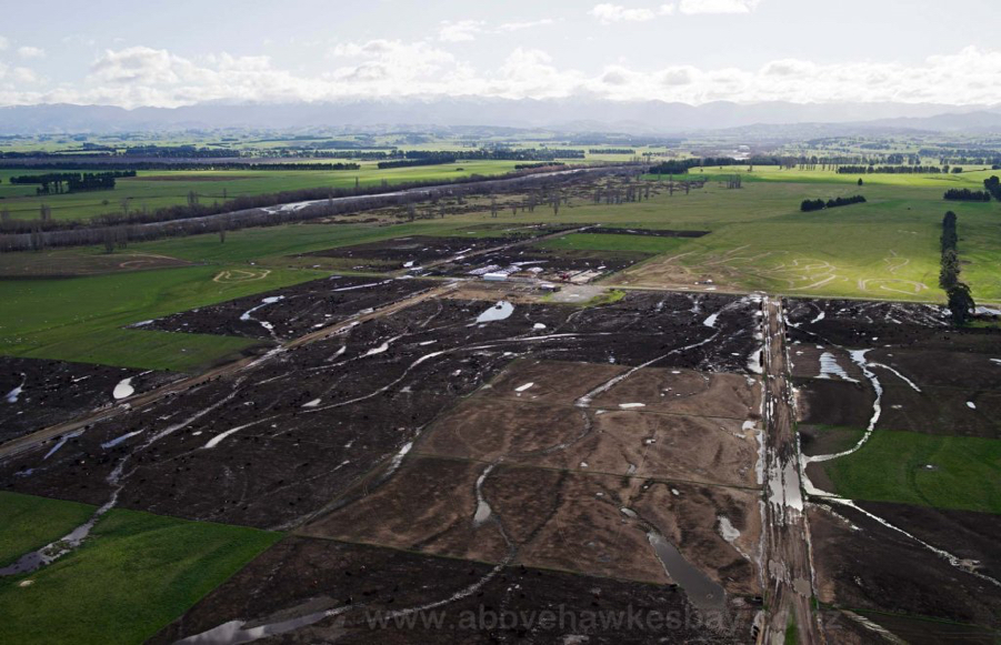 Feedlot-2.jpg