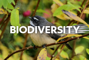Biodiversity Policy