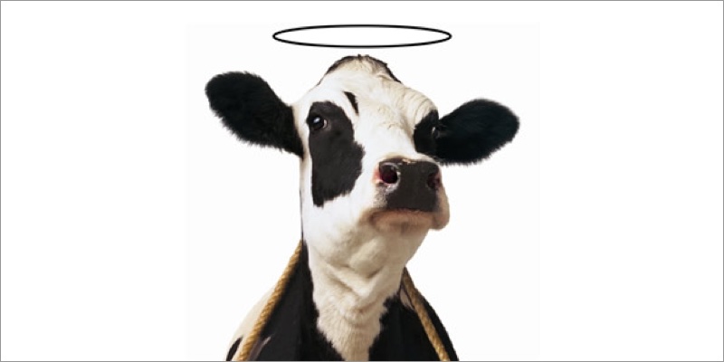good-cow.jpg