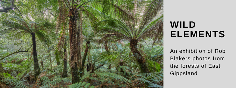 Wild Elements - An exhibition of photos by Rob Blakers from East ...