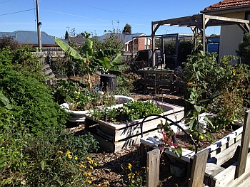 Thomson_PermiGarden-350.jpg